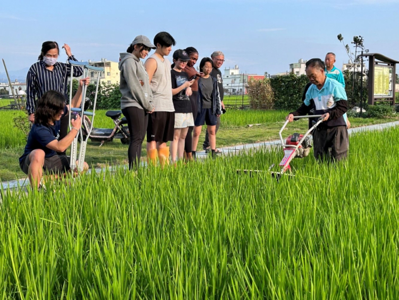 黑翅鳶引領霧峰飛向國際 以生態農業獲IPSI精選案例肯定