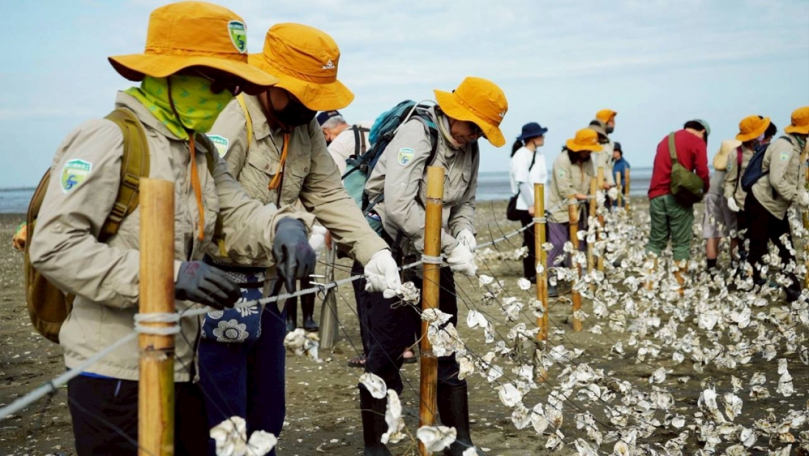 新竹市ESG大行動！台積電、清大、市府共同打造「蚵殼生物礁」試驗區
