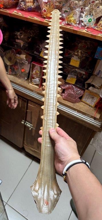 打擊非法販售鋸鰩之鼻 海巡攔查保育製品有成