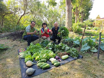 隊部閒置空地變身綠意農場大肚清潔隊攜手社區傳遞健康與愛心