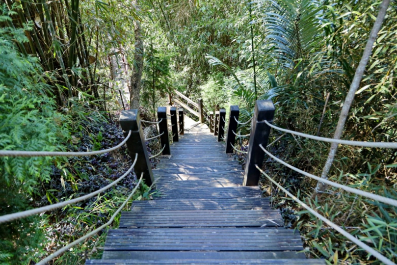 中市全力推動登山步道災害復建工程 部分步道實施封閉措施