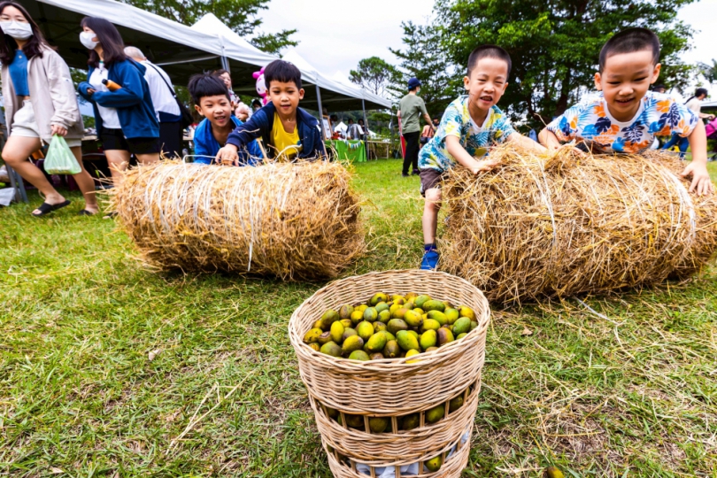 一年比一年精彩    第二屆發現寶山之美攝影比賽得獎名單出爐