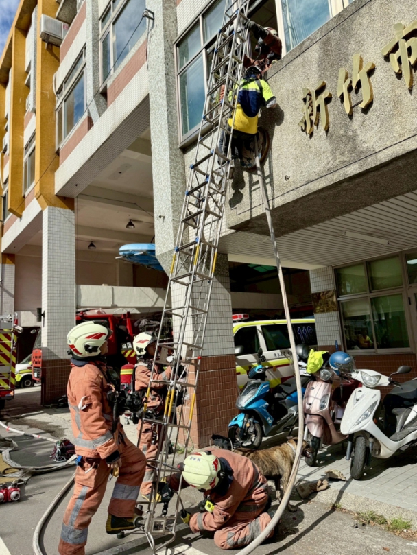 玩真的！新竹市救災器材操作及關東梯高、低索救出等情境式抽測   絲毫不馬虎