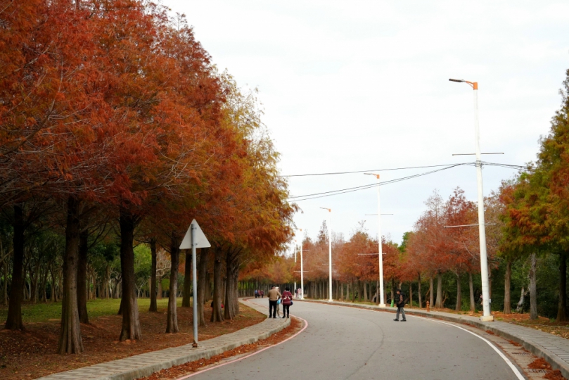 麗寶跨年搖滾區免排隊!玉山麗寶聯名卡當日滿額搶先入場