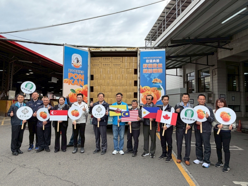 鮮甜啟航、鏈結國際   台中優質椪柑外銷封櫃啟運   600公噸挺進多國市場