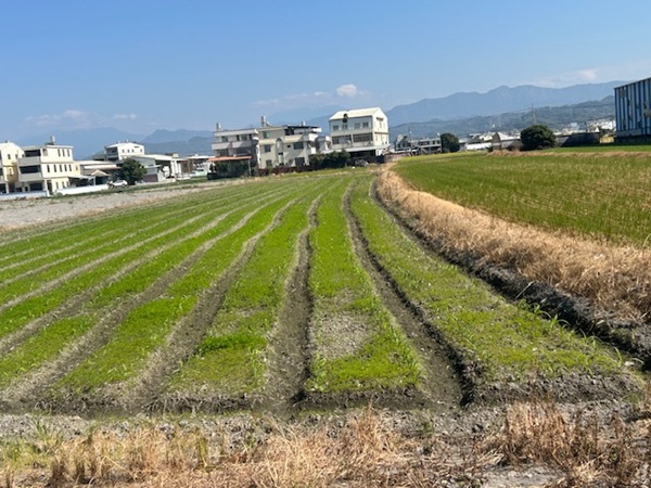大里、霧峰人口數連續多年減少    民進黨市議員李天生要求中市府重視   中市都發局：穩健推動都市計畫  助大里及霧峰都市轉型、產業升級