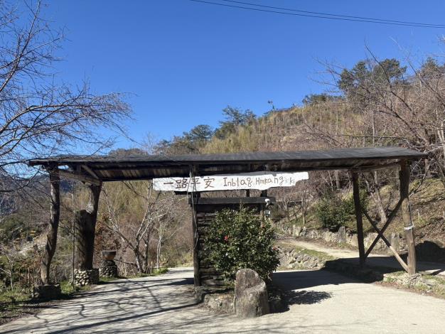 司馬庫斯櫻花季實施交通總量管制  1/19起開放申請通行證