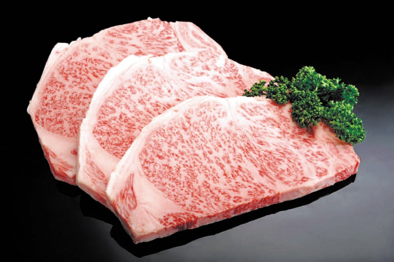 JR東日本大飯店即日起推出福井「三星若狹牛」饗宴