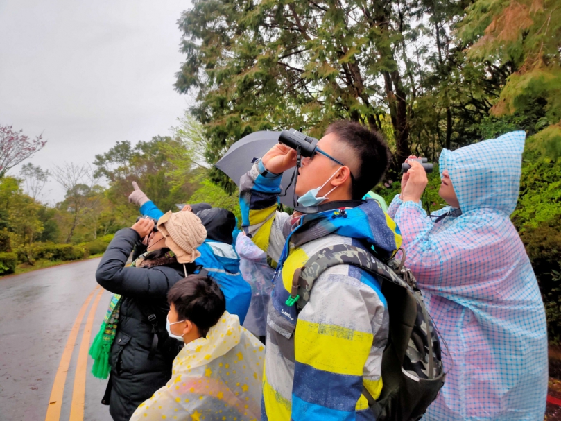 東眼山賞鳥   新春正是時候！