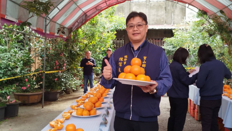 寶山桶柑甜度破表   總幹事陳信良：13.9度是歷年之最！