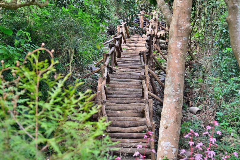 馬年行大運！大坑步道特色滿點 登頂保證「龍馬」精神