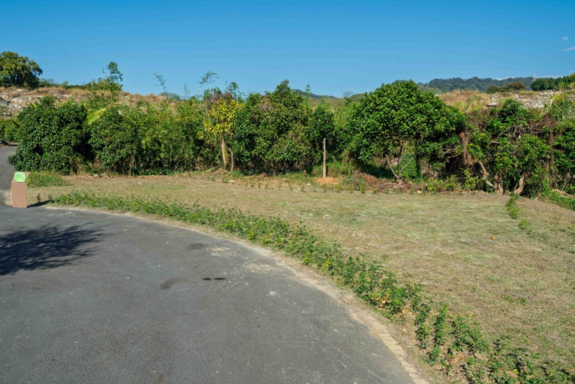 台中再添樹葬新據點  潭子生命紀念館樹葬區啟用  民政局長吳世瑋：提供多元永續殯葬選擇