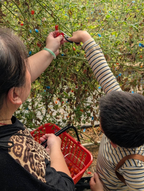 親子走出教室、走進自然北台中家扶以露營翻轉親職教育