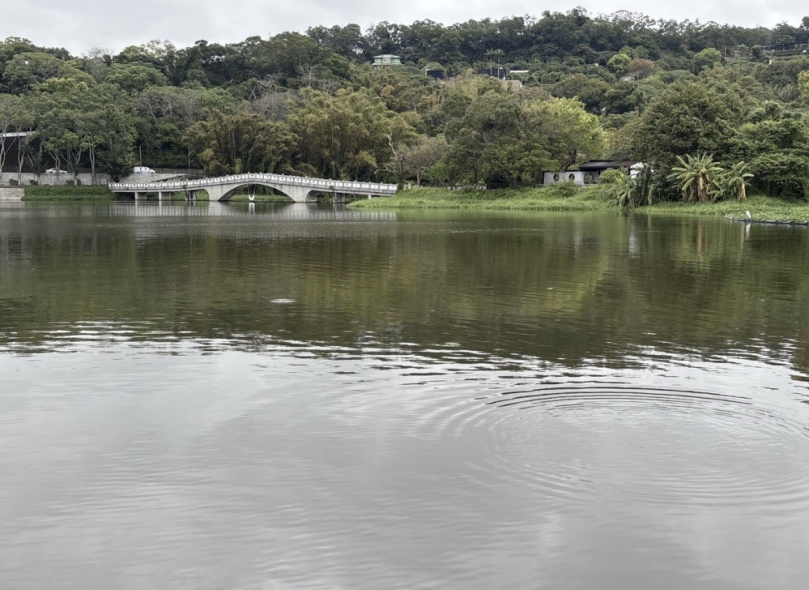 生態殺手布袋蓮清除   新竹市青草湖重現湖光山色