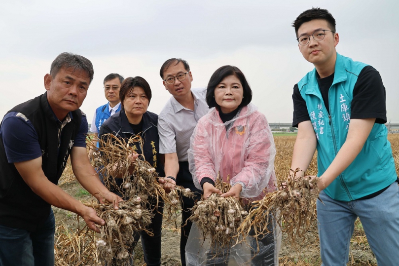 雲林蒜田受暖冬乾旱衝擊　乾燥機補助助農減損