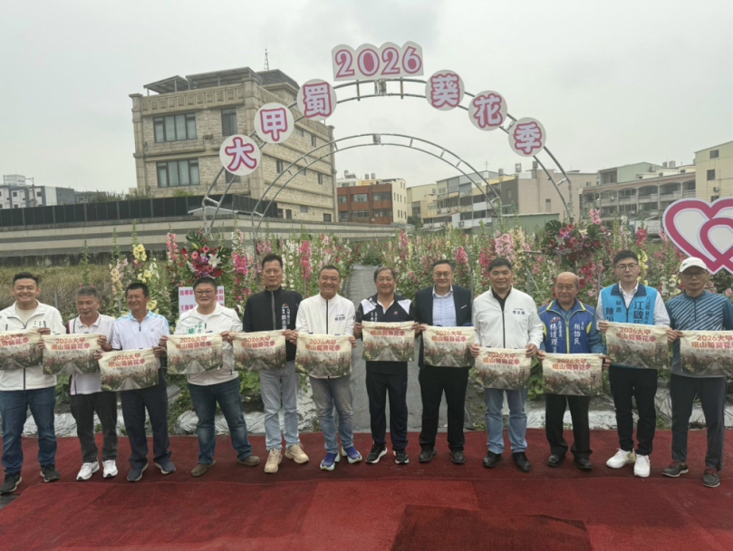 2026大甲區蜀葵花季展開　人潮擁擠看花浪漫有情調
