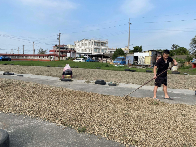 關稅一降恐衝擊3成產業　台灣花生面臨進口強壓危機