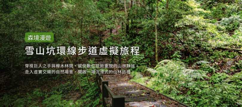 台中沉浸式山林體驗！「雪山坑登山步道」美景線上看