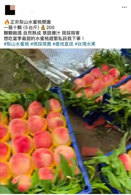 梨山水蜜桃「10顆才200元」？婦人掉「實名認證」陷阱  烏日警急到宅揭穿騙局