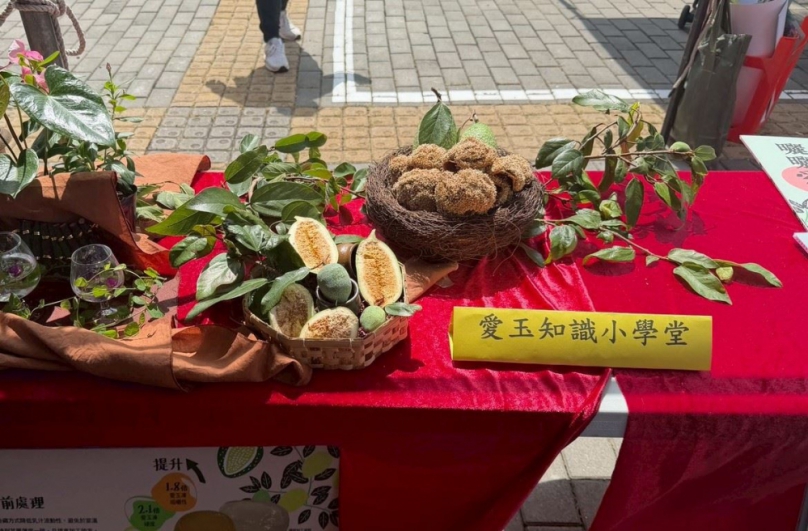 新竹縣新埔九芎湖千人洗愛玉   8/22清涼登場