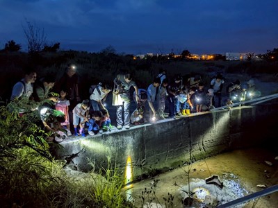 探索高美濕地生物多樣性中市農業局推出日間導覽及夜間陸蟹保育體驗
