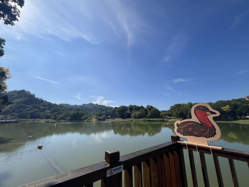 中秋連假森旅行!東勢林業文化園區尋找插畫彩蛋 一路玩到八仙山、大雪山