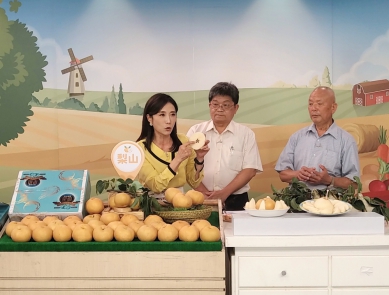 中市農業局攜手東森購物  開賣梨界LV「寶島甘露梨」