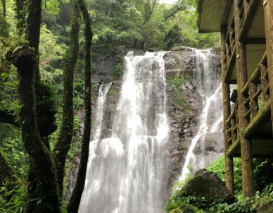 9/27滿月圓瀑布步道重新開放   處女瀑布與其他步道照常迎客