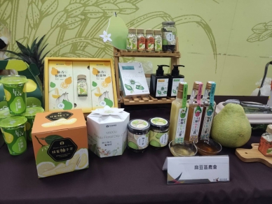 臺南柚類加工品推廣／ 展現風災後的在地堅韌與創新