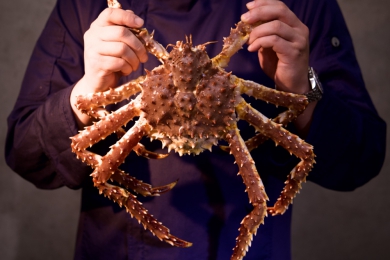 二本松獻秋季極致饗宴　帝王蟹五吃搭A5和牛雙人套餐搶鮮