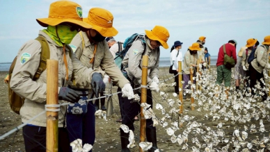 新竹市ESG大行動！台積電、清大、市府共同打造「蚵殼生物礁」試驗區