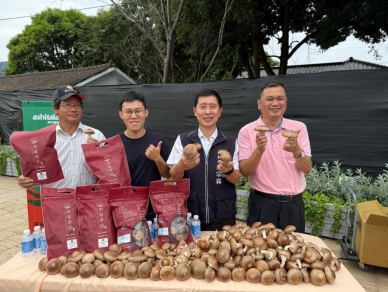 花海花毯節人氣旺、在地特產500條杏鮑菇香腸免費送 橘色波斯菊、紅色百日草、本週大爆發