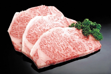 JR東日本大飯店即日起推出福井「三星若狹牛」饗宴