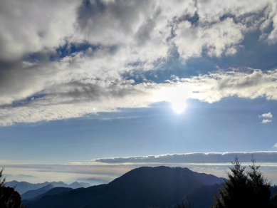 雲海翻湧、櫻花正盛　大雪山春遊賞花去
