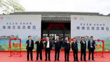 福建南靖蘭花首個專屬交易日啟動