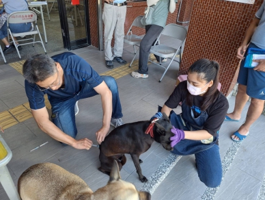 5場次免費服務   竹縣狂犬病預防注射及寵物登記   3/31起尖石鄉開打
