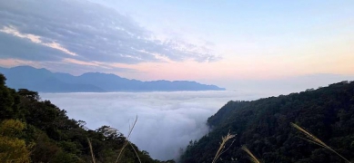 童心大發！林業保育署臺中分署邀您連假上山挑戰「森林木陀螺王」