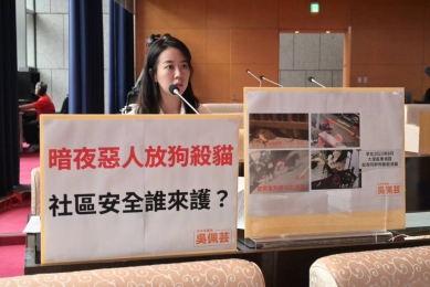 台中多區傳疑似犬隻攻擊街貓事件　議員吳佩芸籲市府跨局處調查