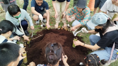 長和公園春日青梅季最終篇    親子插筒植肥    期待明年結實纍纍