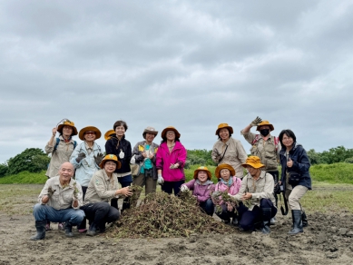 香山濕地復育大動員   新竹市攜手企業ESG移除外來種   守護潮間帶生態