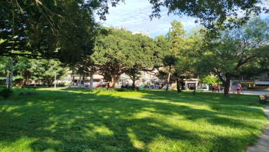 漢他病毒陰影籠罩   新竹市展開公園防鼠整備   垃圾桶階段移除並加蓋管理