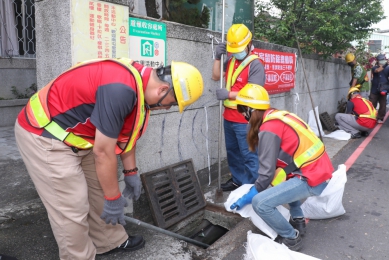 台中全面防鼠！全市625里同步大清消 盧市長：同步出擊、斷絕鼠糧 全力守護市民健康安全