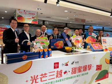 臺南芒果新鮮直送日本 新光三越中港店預購開跑 玉井頂級愛文「香檳芒果」品牌推出
