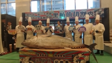 東港黑鮪魚直送新竹   芙洛麗現切秀展現無限魅力   高虹安邀全民共享海洋盛宴