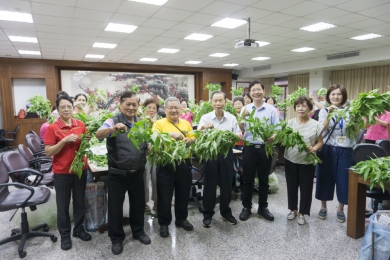 迎接端午穿木屐踩街活動  萬和宮志工挑揀330斤麻芛葉  志工們：端午節「大家來萬和宮呷麻芛，端午節安康!」
