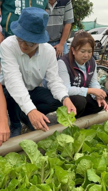 米克拉豪雨釀雲林農損！劉建國促中央從寬救助　爭取蔬菜全品項納補助
