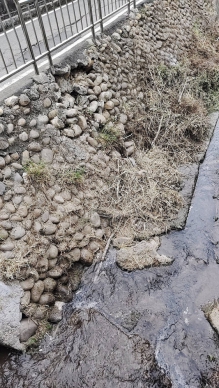 針對中市龍井區龍泉市場前道路塌陷問題地主父子與區長當面進行溝通