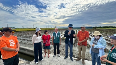 馬拉松會勘爭取有成！雲林硬質玉米納入天災救助農民可領2.8萬