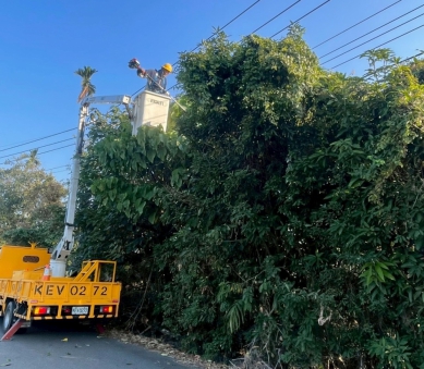 巴威颱風直逼！台電雲林搶修人力全天待命　提醒停電先查網路通報