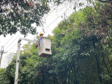 颱風恐接二連三 台電台中區處馬不停蹄修剪樹竹及全面落實線路巡視 呼籲民眾做好防颱用電準備